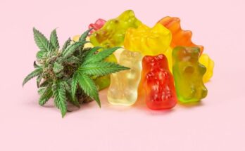 CBD gummies